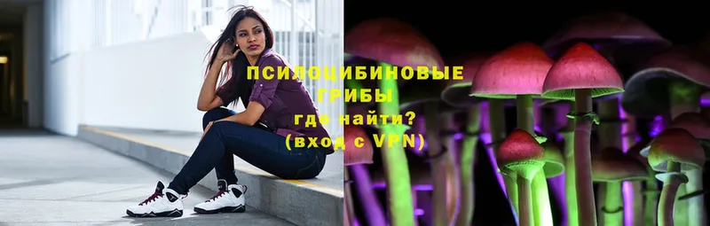 Псилоцибиновые грибы мухоморы  купить наркоту  Салаир 